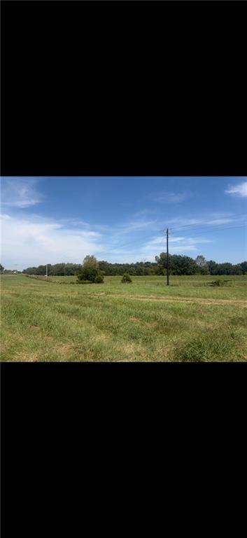 Photo 5 of 74 SW 131 Highway